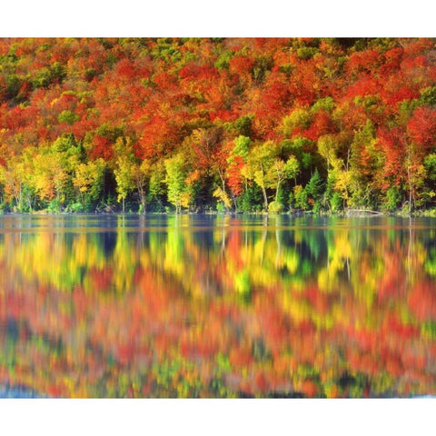 NY, Adirondack Mts Autumn reflects in Heart Lake Black Modern Wood Framed Art Print by Talbot Frank, Christopher