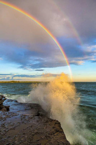 NY, Lake Ontario, Clarks Point Double rainbow Black Ornate Wood Framed Art Print with Double Matting by Lord, Fred