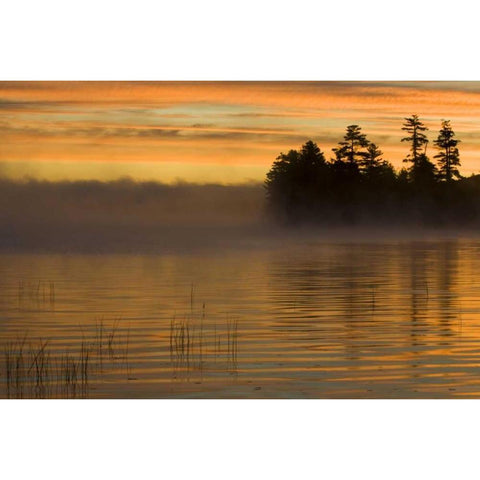 New York, Adirondack Mts Racquette Lake, sunrise Gold Ornate Wood Framed Art Print with Double Matting by Rotenberg, Nancy