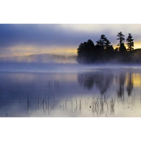 New York, Adirondack Mts Racquette Lake, sunrise White Modern Wood Framed Art Print by Rotenberg, Nancy