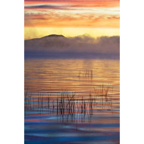 New York, Adirondack Mts Racquette Lake, sunrise Black Modern Wood Framed Art Print by Rotenberg, Nancy