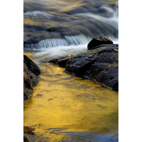NY, Adirondack Mts Stream at Buttermilk Falls Black Modern Wood Framed Art Print by OBrien, Jay