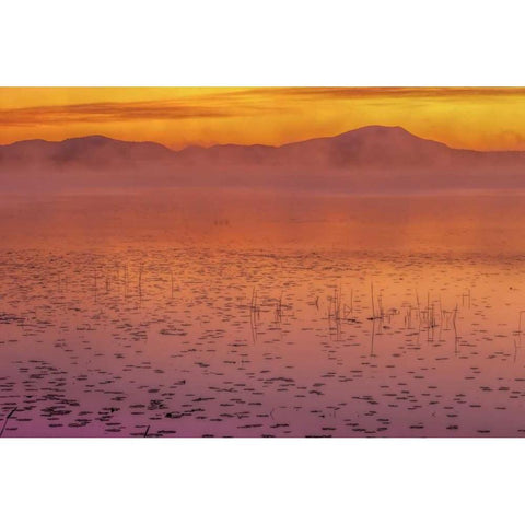 New York, Adirondack Mts Mist on Raquette Lake Black Modern Wood Framed Art Print by OBrien, Jay