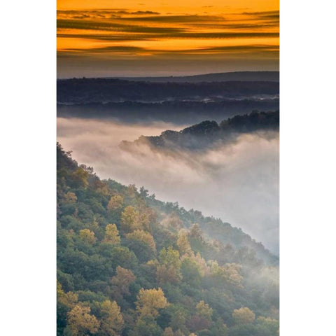 New York, Letchworth SP Foggy landscape, sunrise Gold Ornate Wood Framed Art Print with Double Matting by OBrien, Jay
