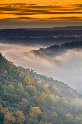 New York, Letchworth SP Foggy landscape, sunrise White Modern Wood Framed Art Print with Double Matting by OBrien, Jay