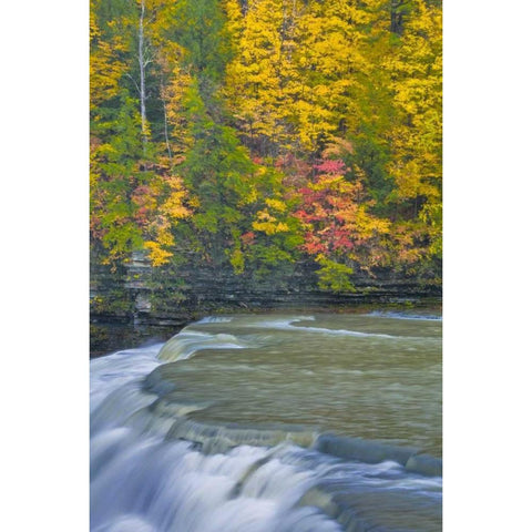 NY, Letchworth SP Waterfall and forest scenic Black Modern Wood Framed Art Print by OBrien, Jay