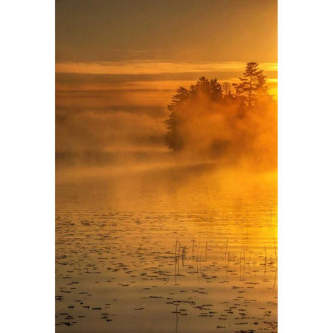 New York, Adirondack Mts Mist on Raquette Lake Black Modern Wood Framed Art Print with Double Matting by OBrien, Jay