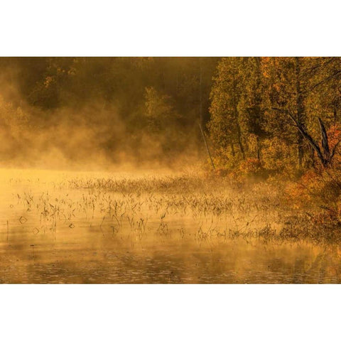 New York, Adirondack Mts Mist on Raquette Lake Black Modern Wood Framed Art Print by OBrien, Jay
