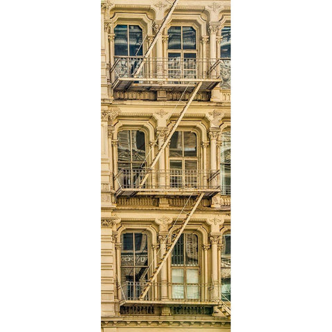 USA-New York Windows and fire escapes Gold Ornate Wood Framed Art Print with Double Matting by Looney, Hollice