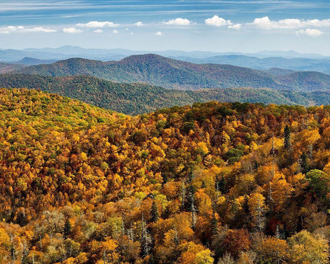 North Carolina-Pisgah National Forest-View from the Blue Ridge Parkways East Fork Overlook Black Ornate Wood Framed Art Print with Double Matting by Collins, Ann