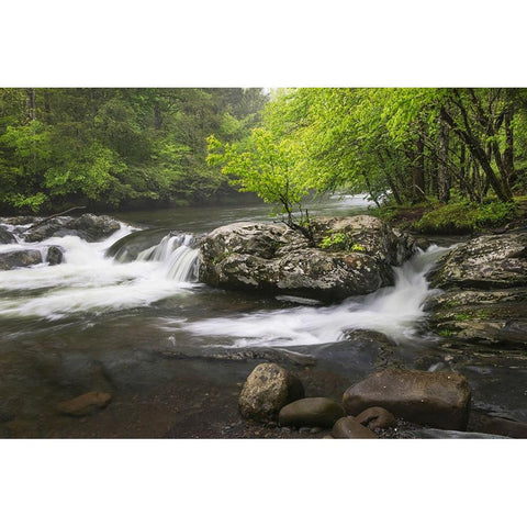 Cascading mountain stream-Great Smoky Mountains National Park-Tennessee-North Carolina Black Modern Wood Framed Art Print with Double Matting by Jones, Adam