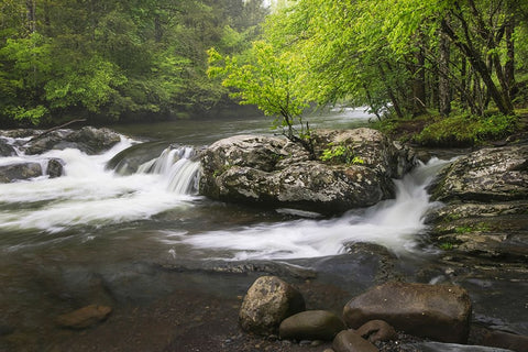 Cascading mountain stream-Great Smoky Mountains National Park-Tennessee-North Carolina Black Ornate Wood Framed Art Print with Double Matting by Jones, Adam