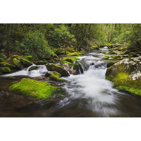 Cascading mountain stream-Great Smoky Mountains National Park-Tennessee-North Carolina Black Modern Wood Framed Art Print by Jones, Adam
