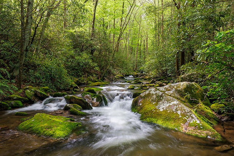 Cascading mountain stream-Great Smoky Mountains National Park-Tennessee-North Carolina White Modern Wood Framed Art Print with Double Matting by Jones, Adam