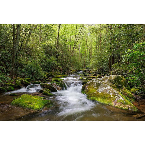 Cascading mountain stream-Great Smoky Mountains National Park-Tennessee-North Carolina Gold Ornate Wood Framed Art Print with Double Matting by Jones, Adam