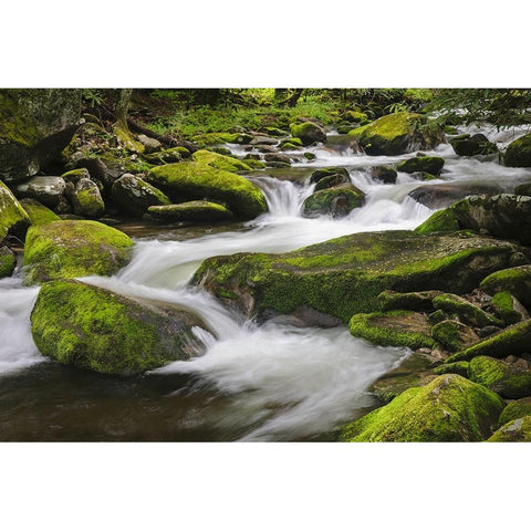 Cascading mountain stream-Great Smoky Mountains National Park-Tennessee-North Carolina Black Modern Wood Framed Art Print by Jones, Adam