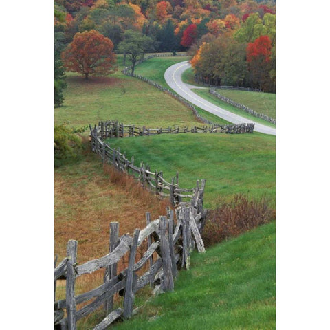 NC, Rail fence and country road in fall landscape Black Modern Wood Framed Art Print by Rotenberg, Nancy