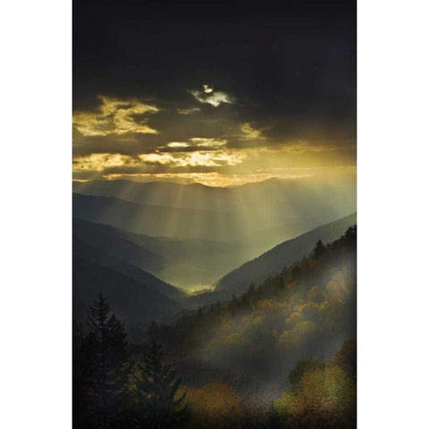NC, Great Smoky Mts God Rays over mountains White Modern Wood Framed Art Print by Rotenberg, Nancy