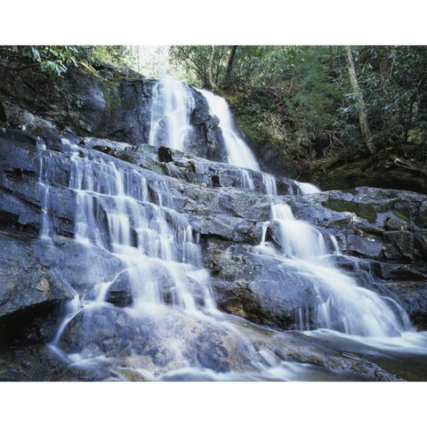 North Carolina, Great Smoky Mts Waterfall Black Modern Wood Framed Art Print by Talbot Frank, Christopher
