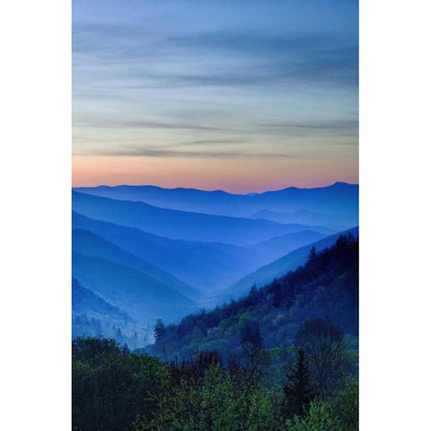 North Carolina Oconaluftee Overlook at sunrise Gold Ornate Wood Framed Art Print with Double Matting by Flaherty, Dennis