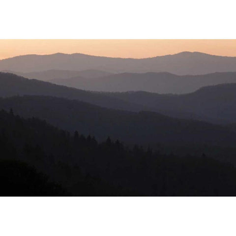 North Carolina Oconaluftee Overlook at sunrise White Modern Wood Framed Art Print by Flaherty, Dennis