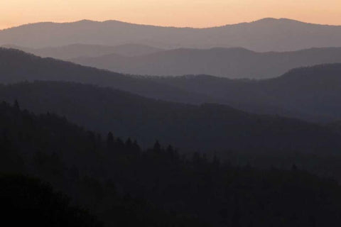 North Carolina Oconaluftee Overlook at sunrise Black Ornate Wood Framed Art Print with Double Matting by Flaherty, Dennis