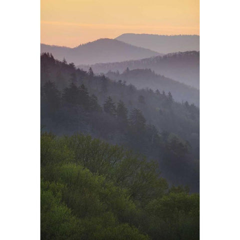 North Carolina Oconaluftee Overlook at sunrise Black Modern Wood Framed Art Print with Double Matting by Flaherty, Dennis