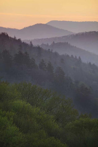 North Carolina Oconaluftee Overlook at sunrise Black Ornate Wood Framed Art Print with Double Matting by Flaherty, Dennis