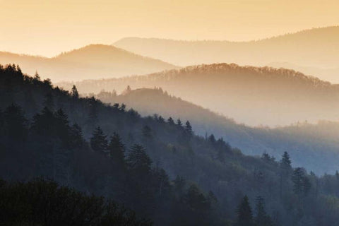 North Carolina Oconaluftee Overlook at sunrise White Modern Wood Framed Art Print with Double Matting by Flaherty, Dennis