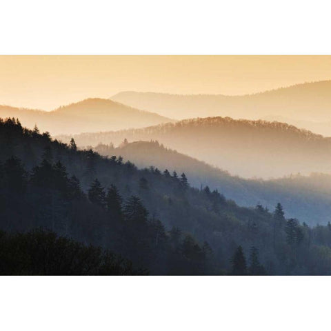 North Carolina Oconaluftee Overlook at sunrise Gold Ornate Wood Framed Art Print with Double Matting by Flaherty, Dennis