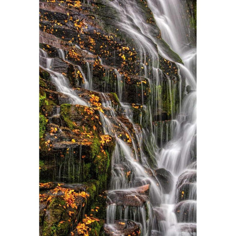 North Carolina, Brevard Waterfall in DuPont SF Black Modern Wood Framed Art Print with Double Matting by OBrien, Jay