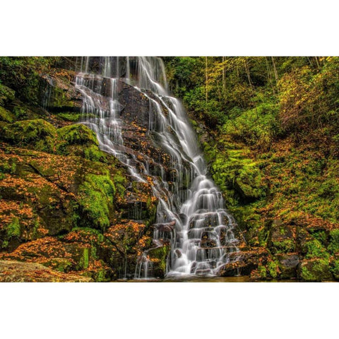 North Carolina, Brevard Waterfall in DuPont SF Black Modern Wood Framed Art Print by OBrien, Jay