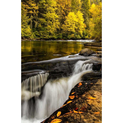North Carolina, Brevard Landscape in Pisgah NF Black Modern Wood Framed Art Print by OBrien, Jay