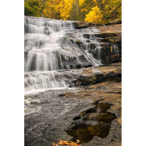 North Carolina, Brevard Waterfall in DuPont SF Black Modern Wood Framed Art Print by OBrien, Jay