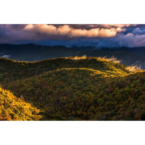 NC, Brevard Autumn landscape in Pisgah NF White Modern Wood Framed Art Print by OBrien, Jay