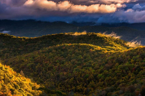 NC, Brevard Autumn landscape in Pisgah NF White Modern Wood Framed Art Print with Double Matting by OBrien, Jay