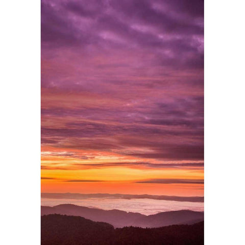 North Carolina, Brevard Landscape in Pisgah NF White Modern Wood Framed Art Print by OBrien, Jay