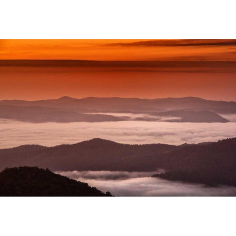 North Carolina, Brevard Landscape in Pisgah NF Black Modern Wood Framed Art Print by OBrien, Jay