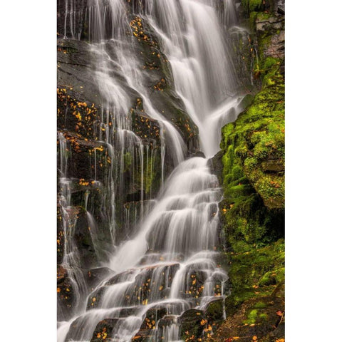 North Carolina, Brevard Waterfall in DuPont SF Gold Ornate Wood Framed Art Print with Double Matting by OBrien, Jay