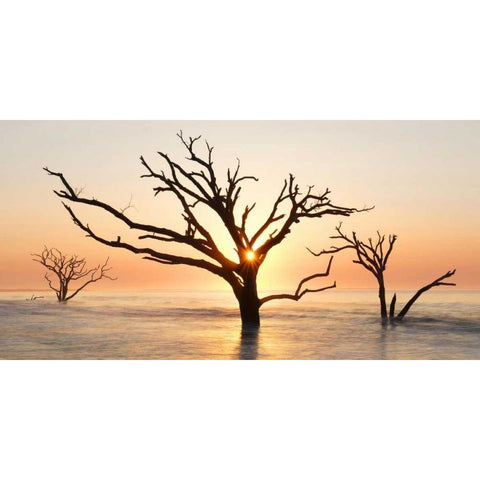 North Carolina Sunrise at Botany Bay Preserve White Modern Wood Framed Art Print by Bush, Marie