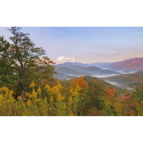 USA, North Carolina Black Mountains overlook Gold Ornate Wood Framed Art Print with Double Matting by Paulson, Don