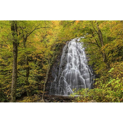 North Carolina, Crabtree Falls in autumn Black Modern Wood Framed Art Print with Double Matting by Paulson, Don