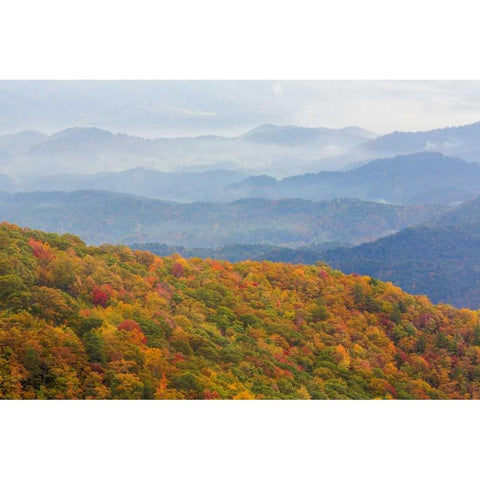 North Carolina, Blue Ridge Parkway Overlook Gold Ornate Wood Framed Art Print with Double Matting by Paulson, Don