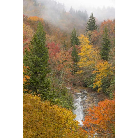 North Carolina, Bubbling Springs Falls in Autumn Black Modern Wood Framed Art Print by Paulson, Don