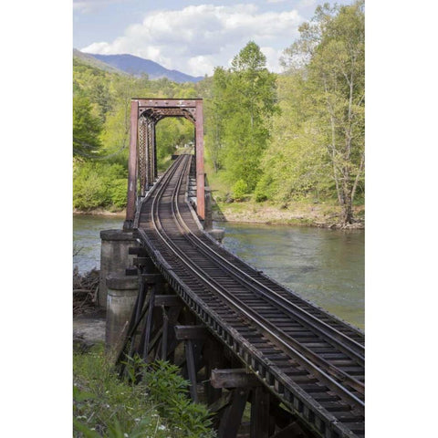 North Carolina Abandoned railroad trestle Black Modern Wood Framed Art Print with Double Matting by Grall, Don