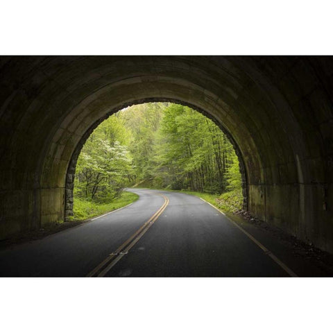 North Carolina Tunnel on the Blue Ridge Parkway White Modern Wood Framed Art Print by Grall, Don
