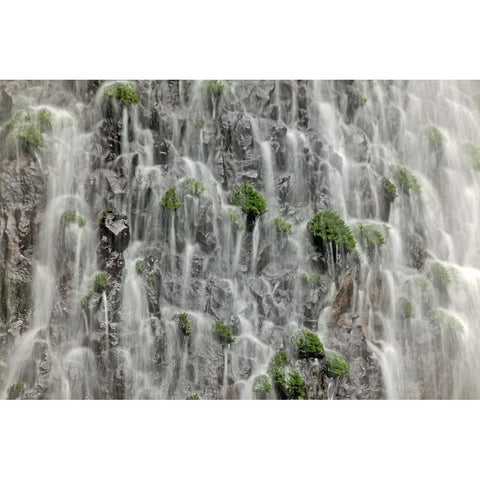 Waterfall close-up-Columbia River Gorge-Oregon Black Modern Wood Framed Art Print by Jones, Adam