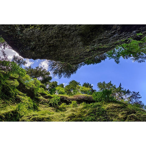 Upward view from bottom of Oneonta Gorge-Columbia River Gorge National Scenic Area-Oregon Black Modern Wood Framed Art Print by Jones, Adam