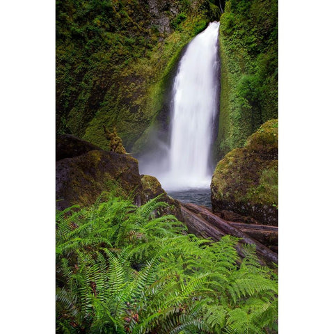 Wahclella Falls along Tanner Creek-Columbia River Gorge-Oregon Black Modern Wood Framed Art Print with Double Matting by Jones, Adam