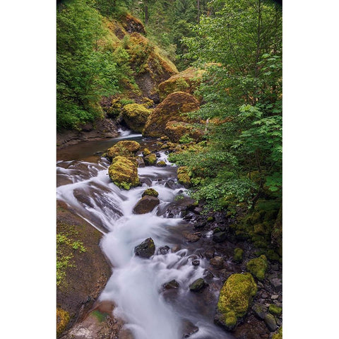 Tanner Creek-Columbia River Gorge-Oregon Black Modern Wood Framed Art Print by Jones, Adam